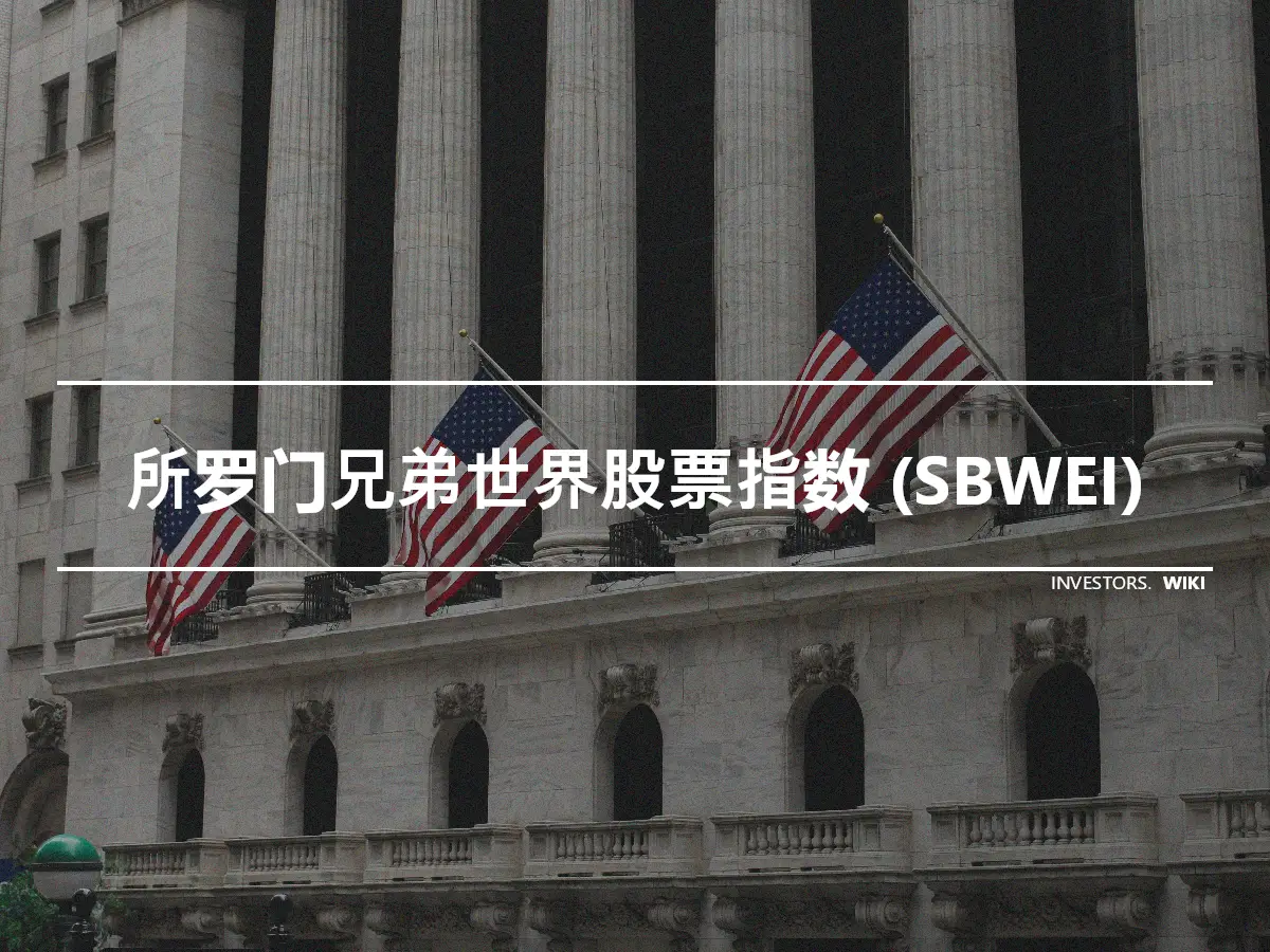 所罗门兄弟世界股票指数 (SBWEI)