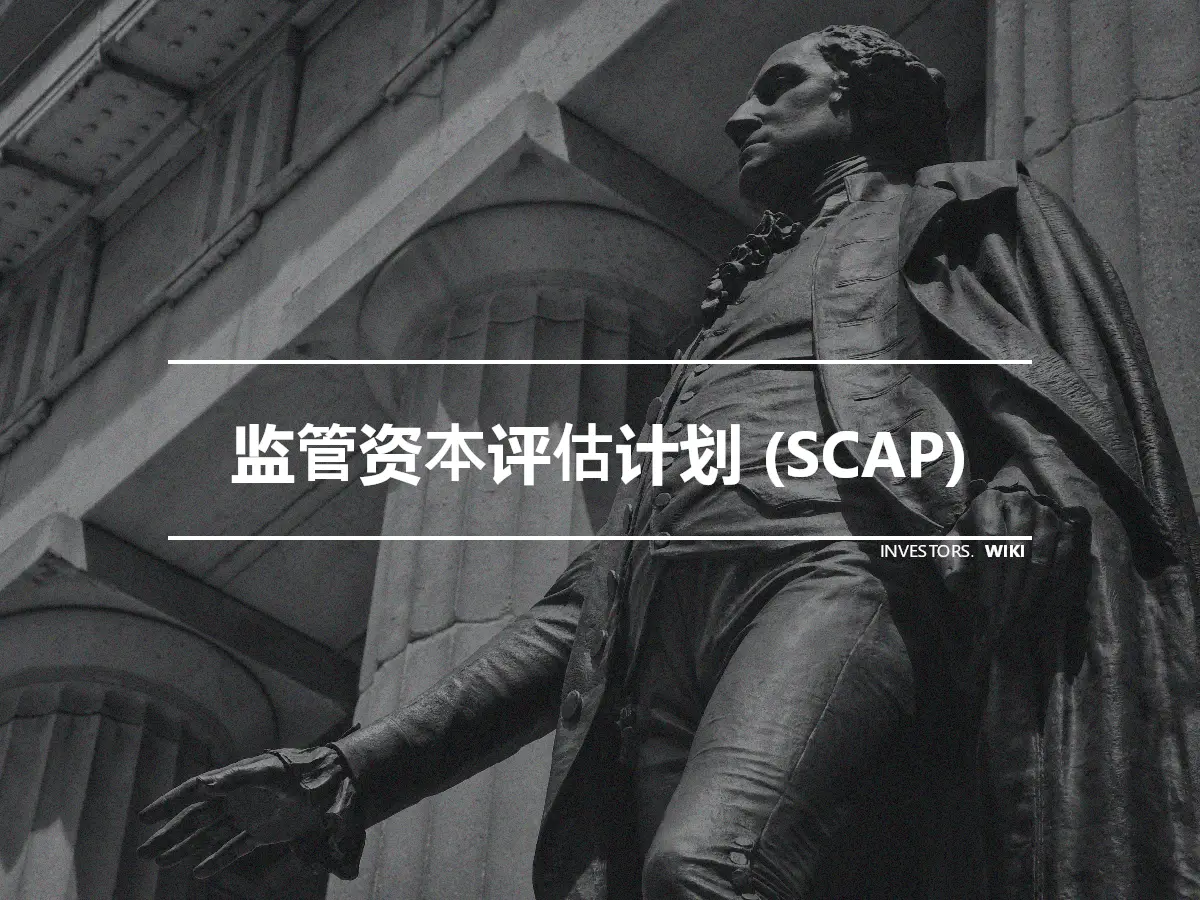 监管资本评估计划 (SCAP)