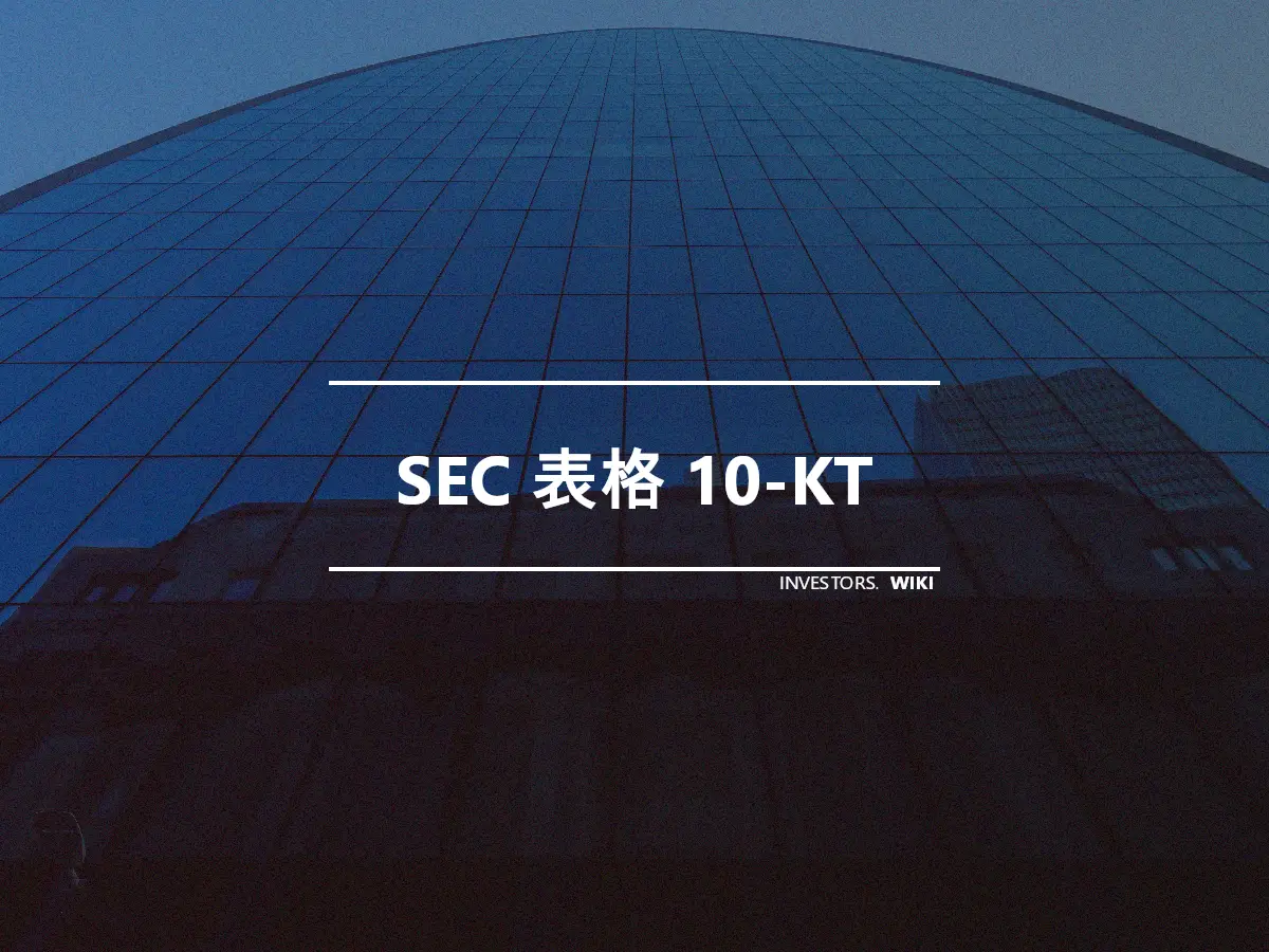 SEC 表格 10-KT