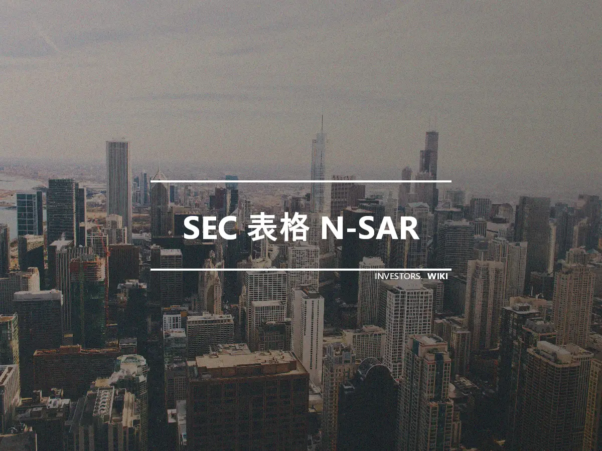 SEC 表格 N-SAR