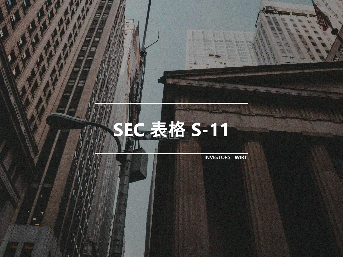 SEC 表格 S-11