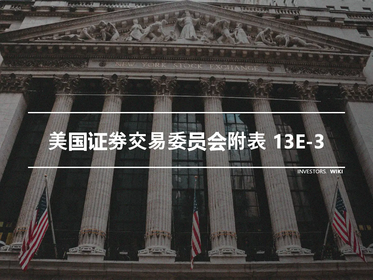 美国证券交易委员会附表 13E-3