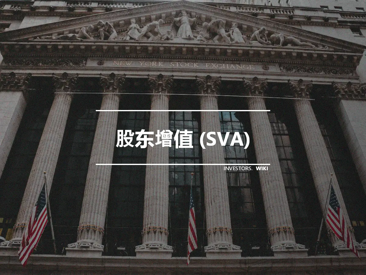 股东增值 (SVA)