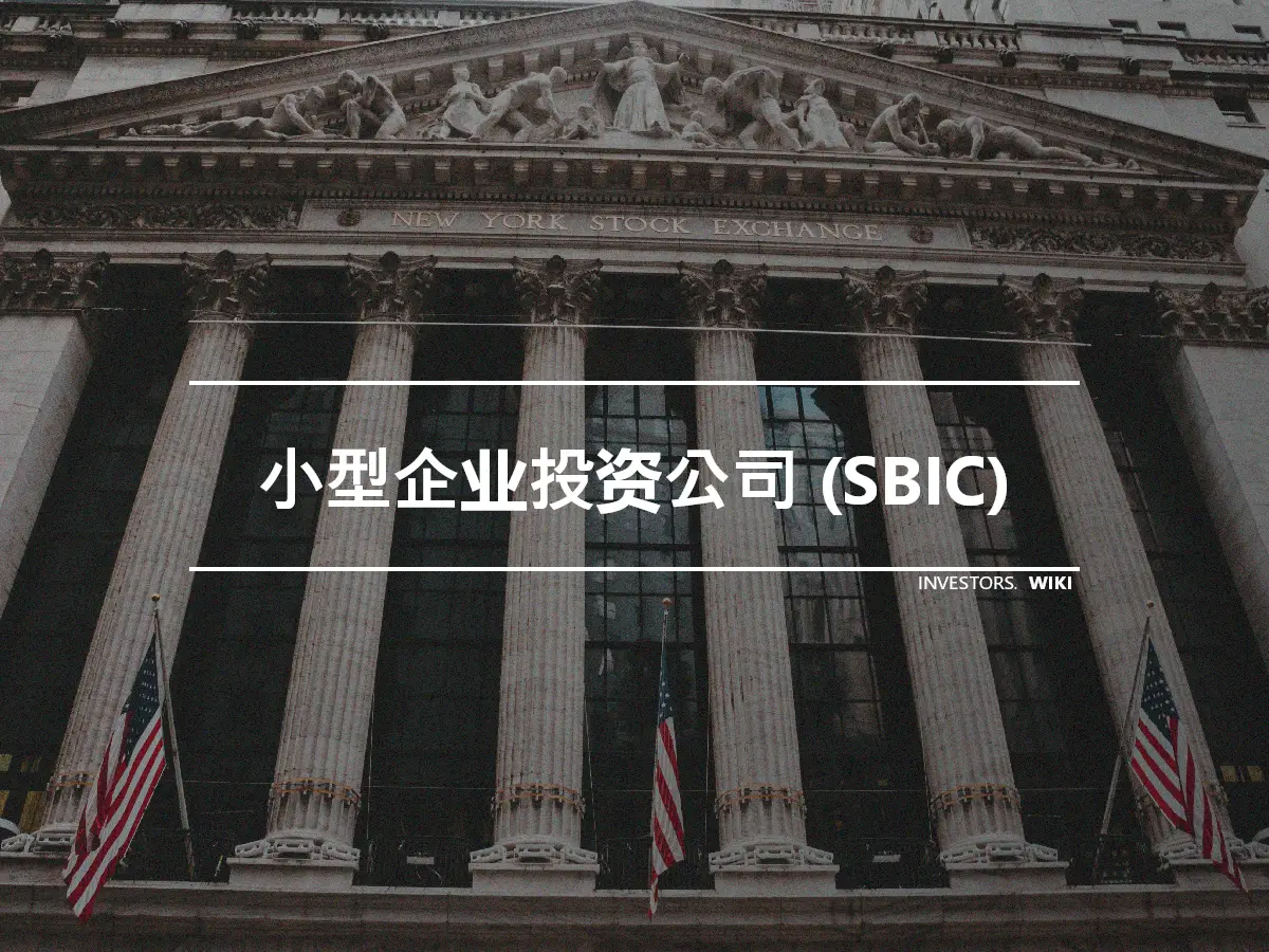 小型企业投资公司 (SBIC)