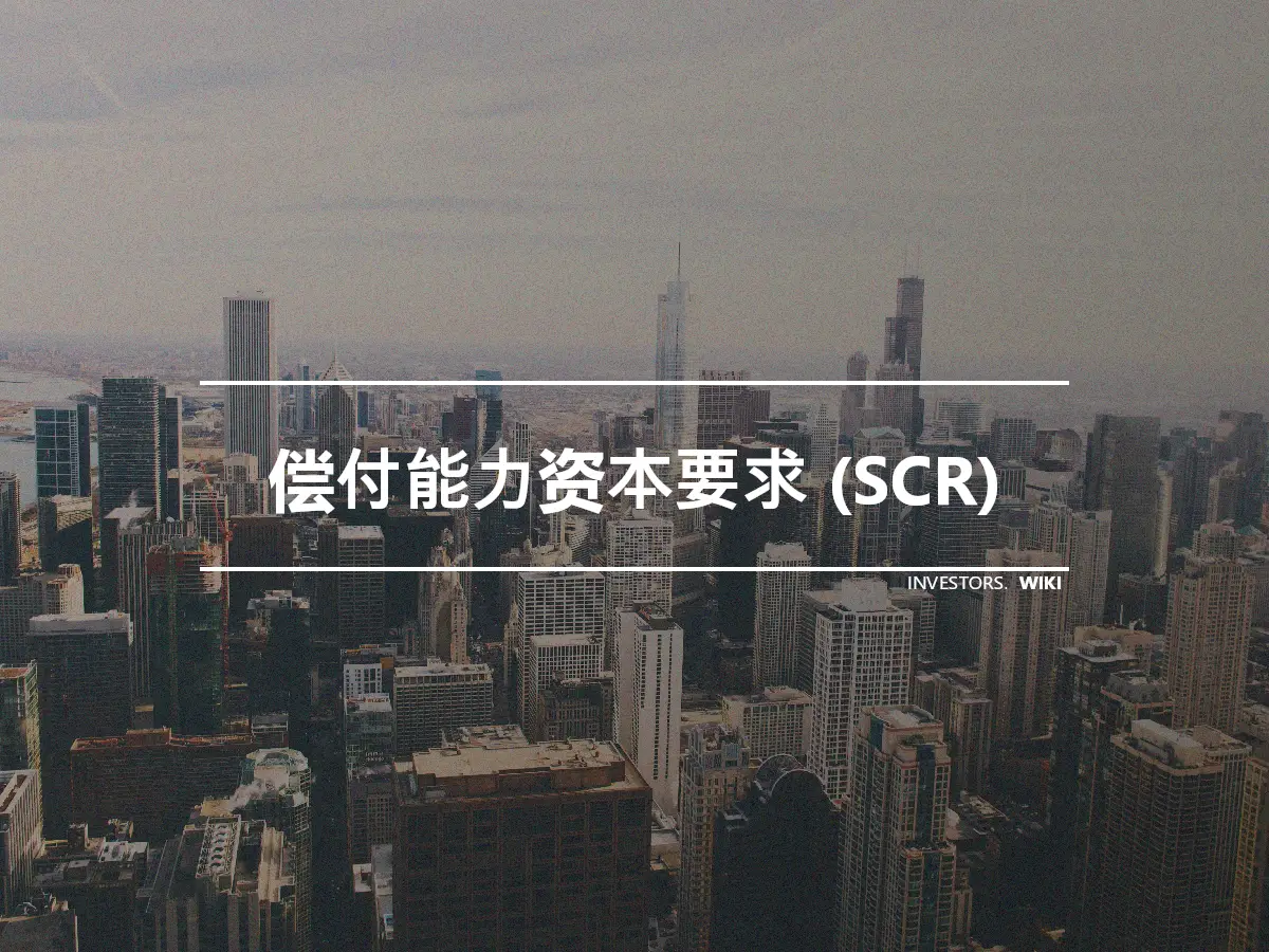 偿付能力资本要求 (SCR)