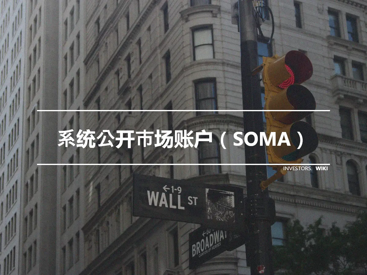 系统公开市场账户（SOMA）