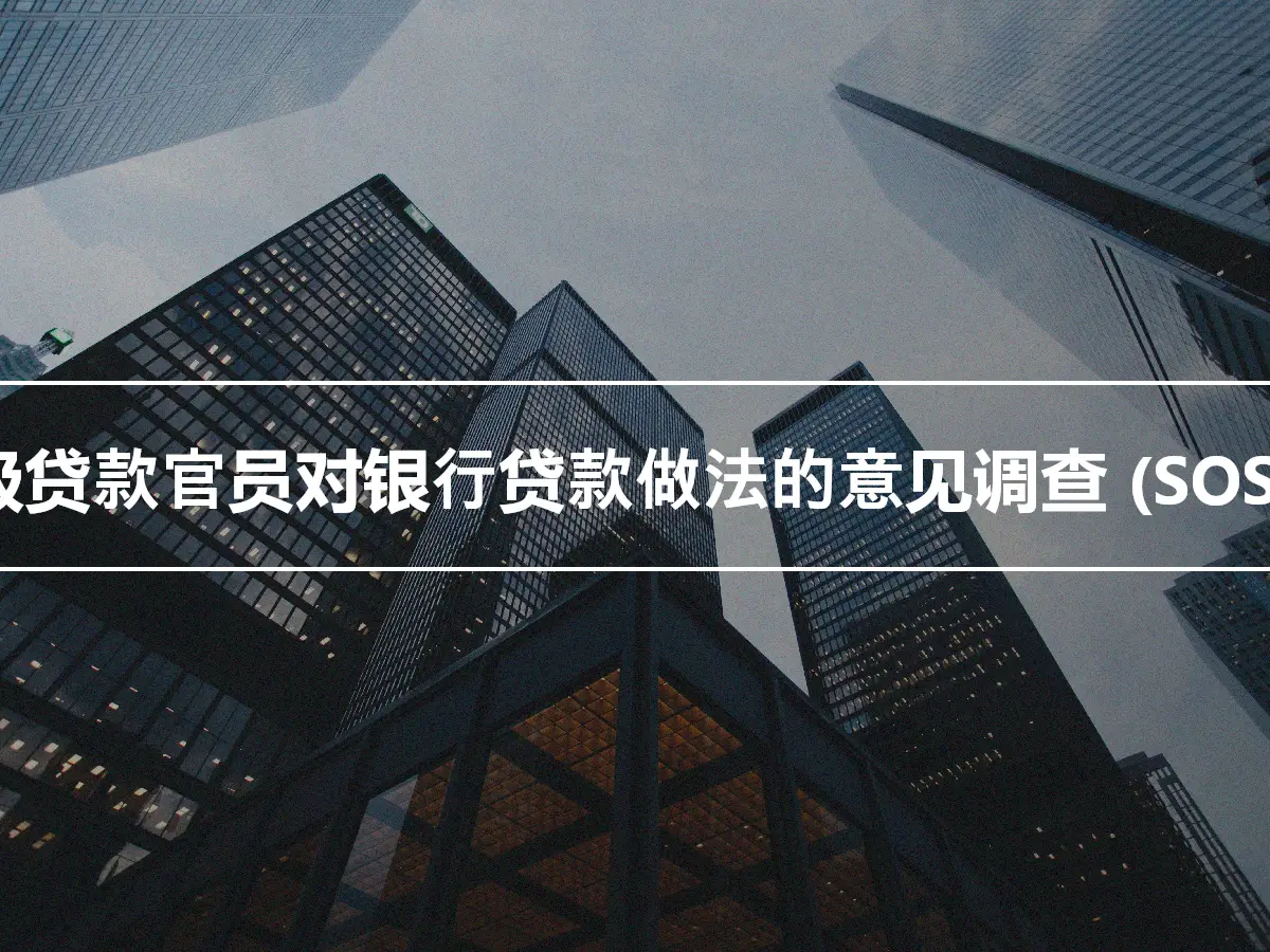 高级贷款官员对银行贷款做法的意见调查 (SOSLP)