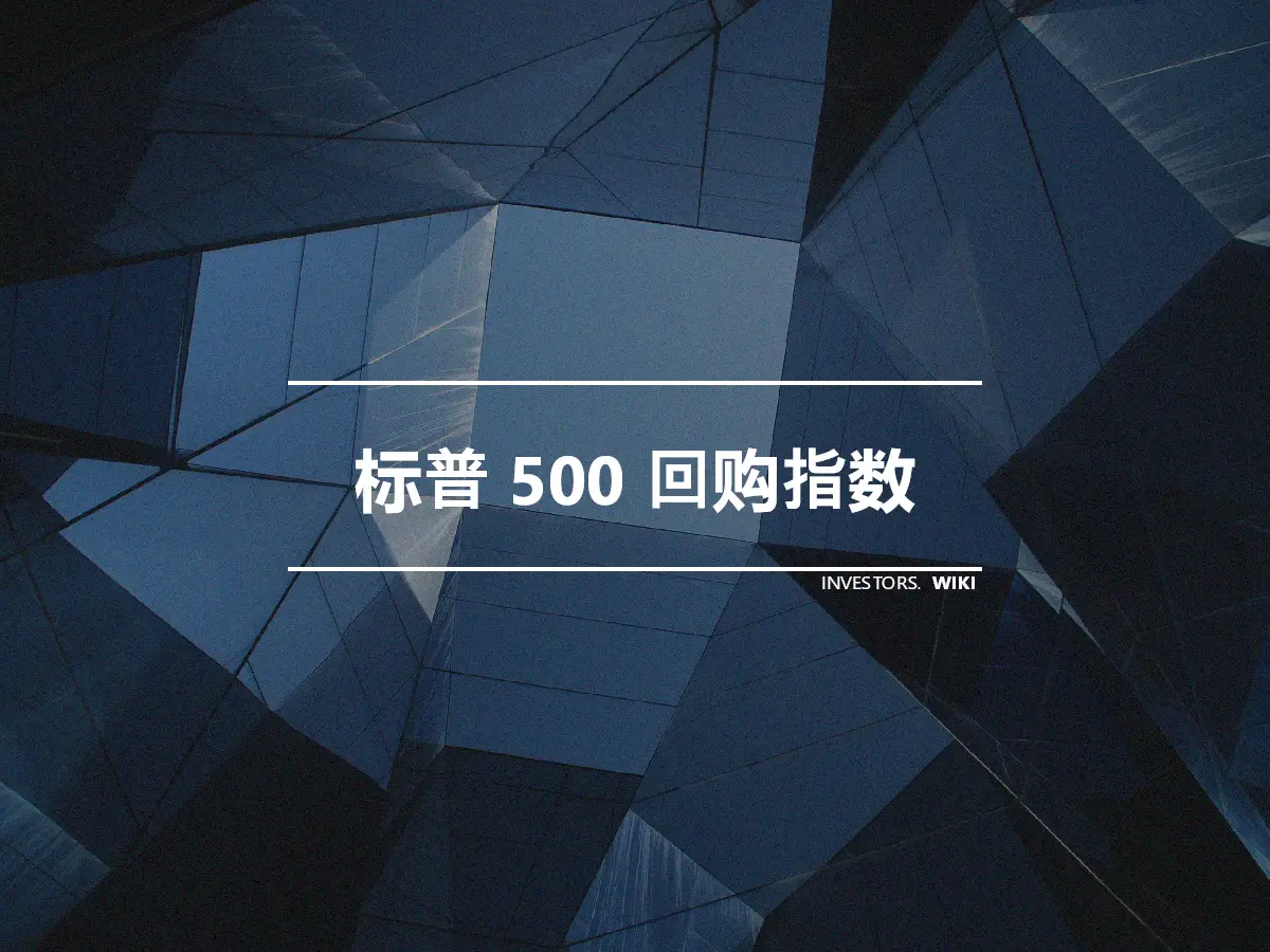 标普 500 回购指数