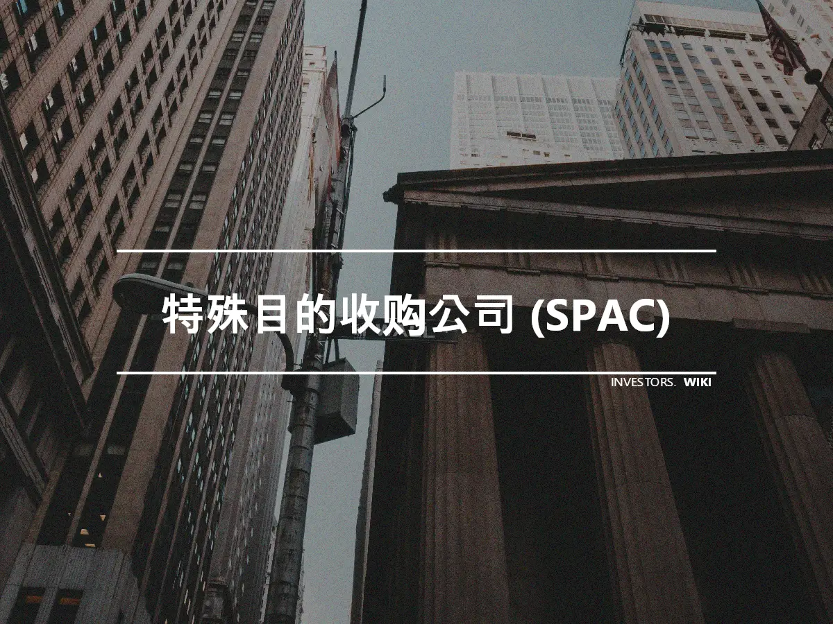 特殊目的收购公司 (SPAC)