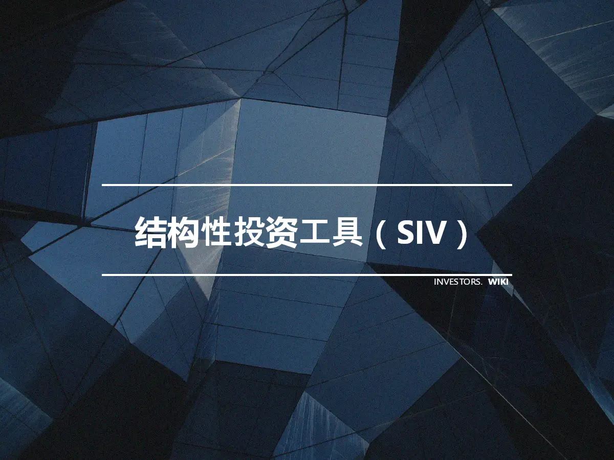 结构性投资工具（SIV）