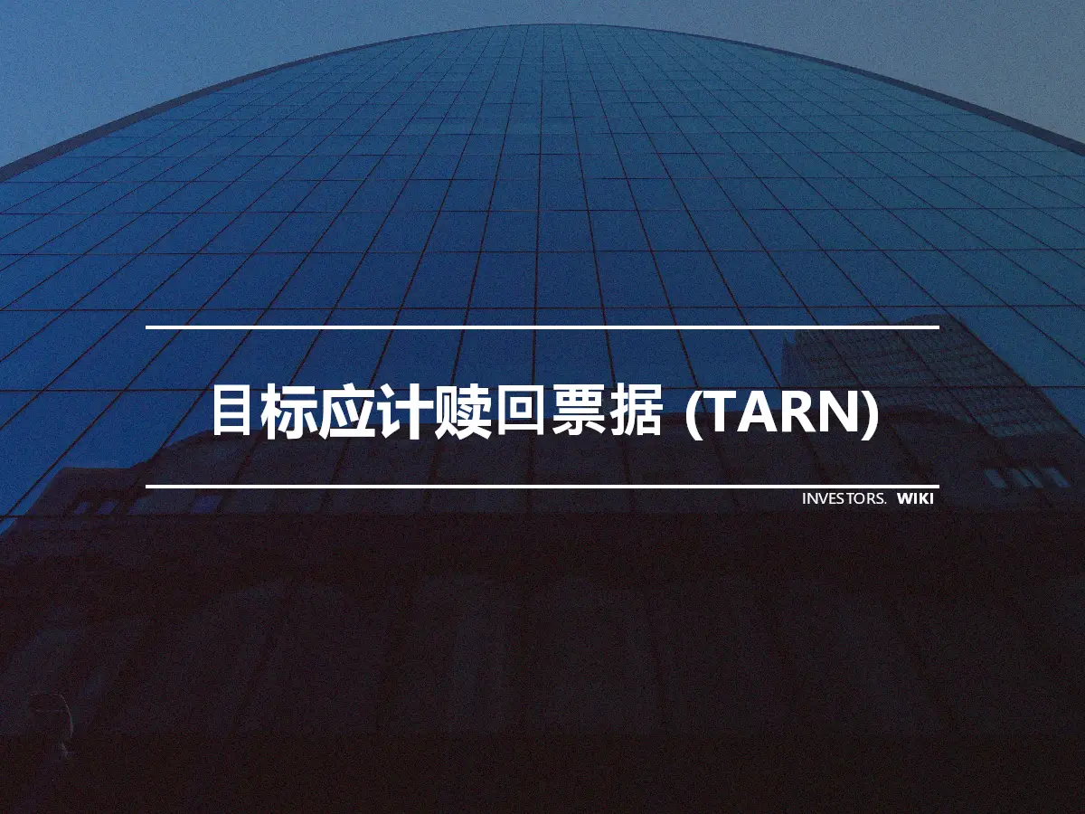 目标应计赎回票据 (TARN)