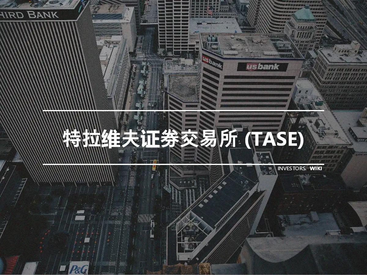 特拉维夫证券交易所 (TASE)