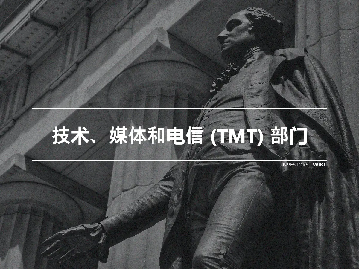 技术、媒体和电信 (TMT) 部门