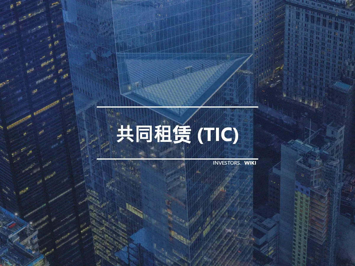 共同租赁 (TIC)