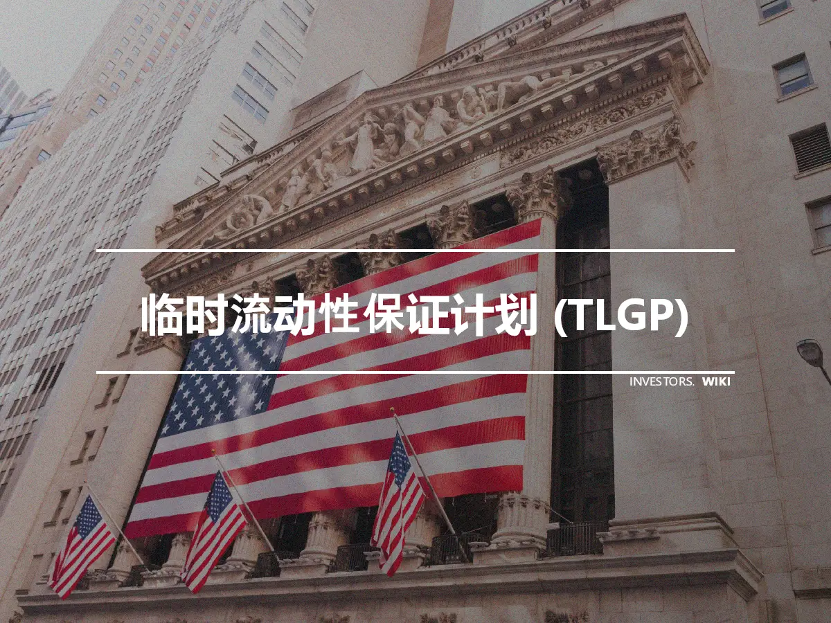 临时流动性保证计划 (TLGP)
