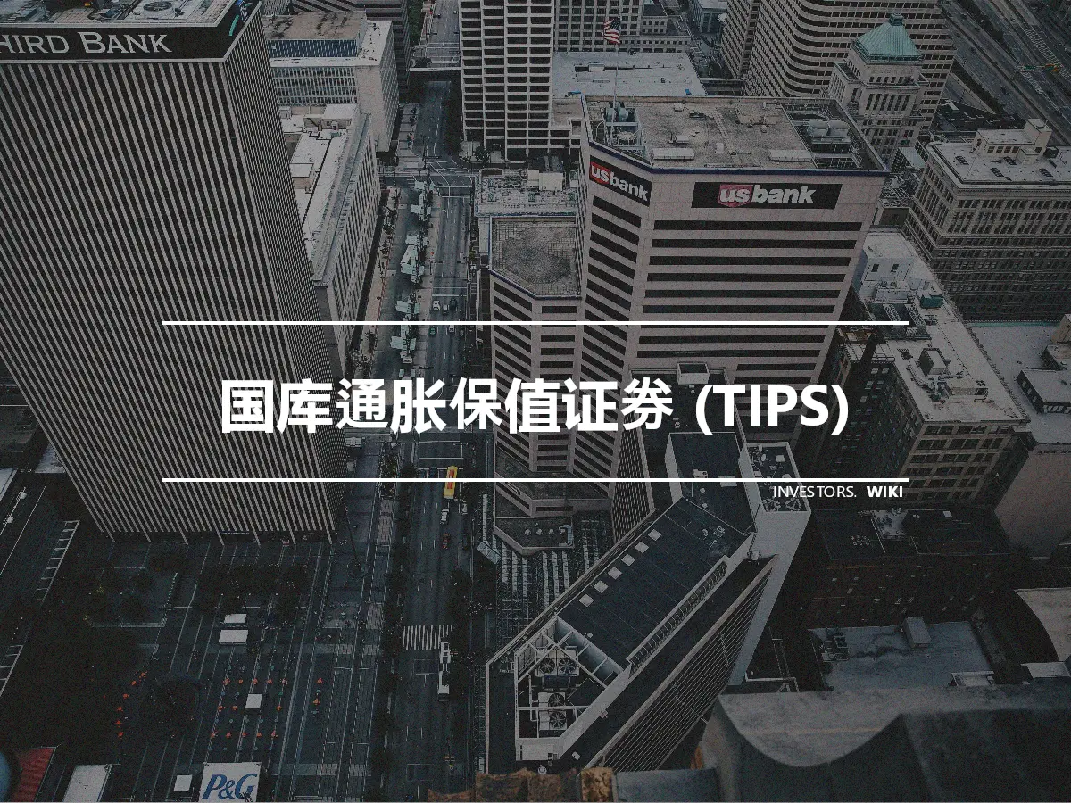 国库通胀保值证券 (TIPS)