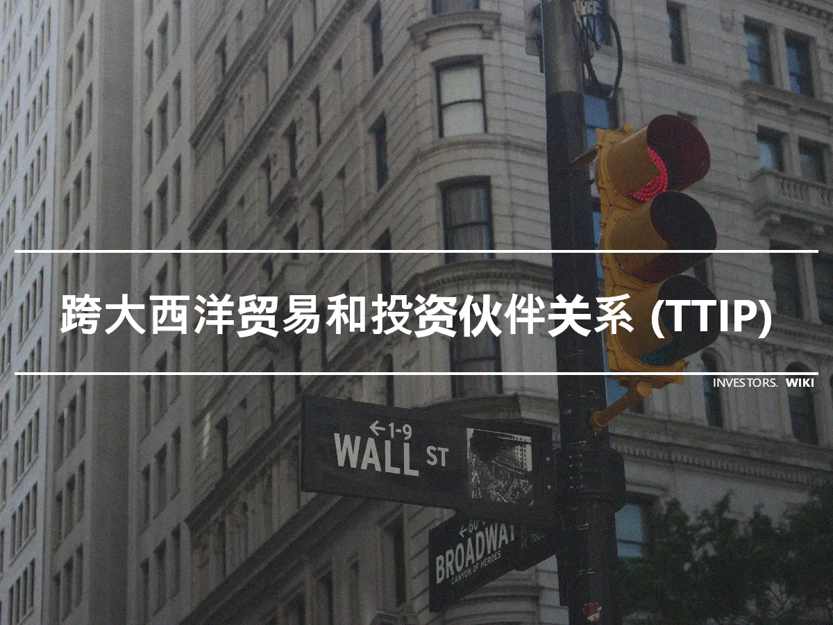 跨大西洋贸易和投资伙伴关系 (TTIP)