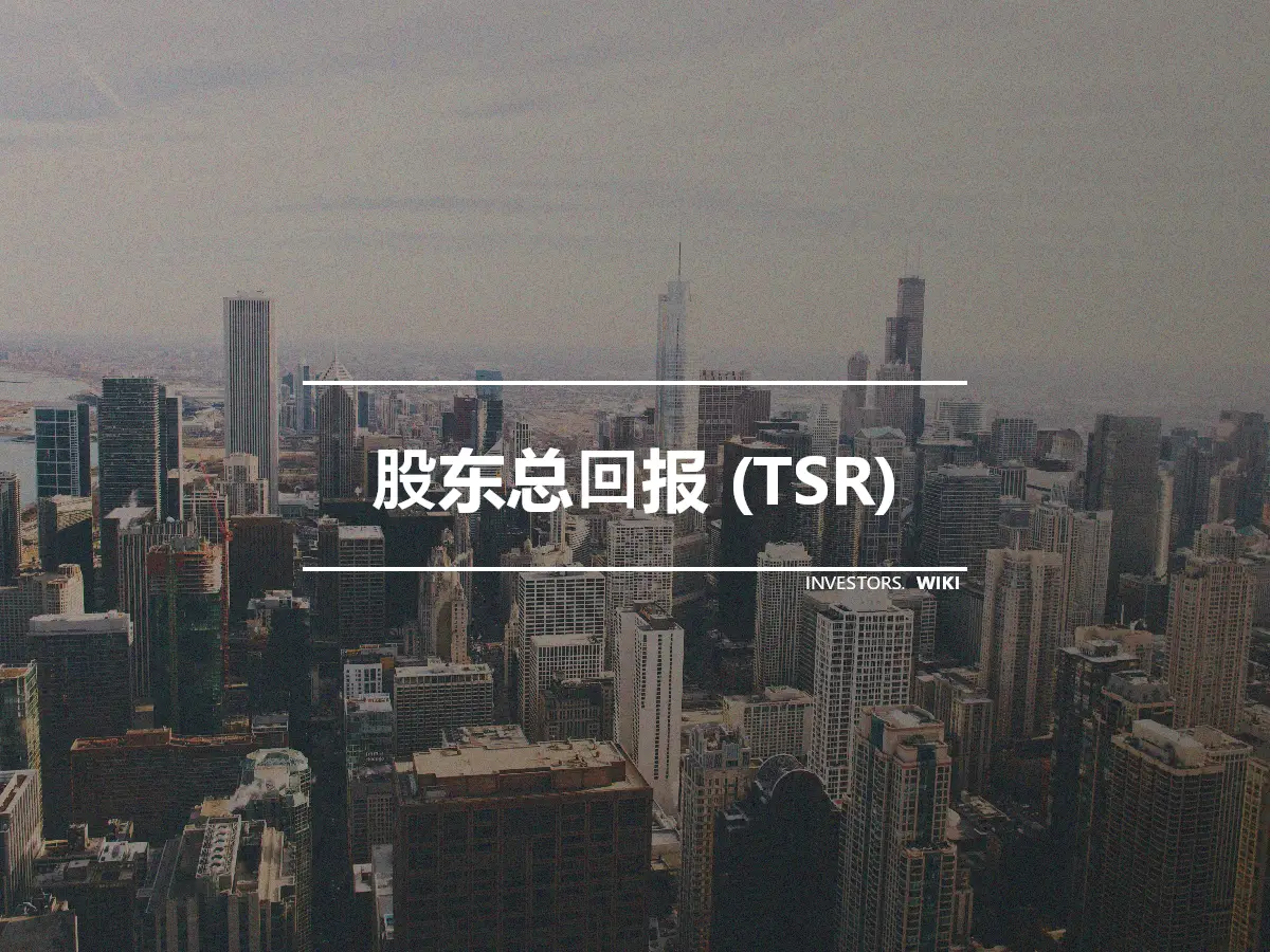 股东总回报 (TSR)