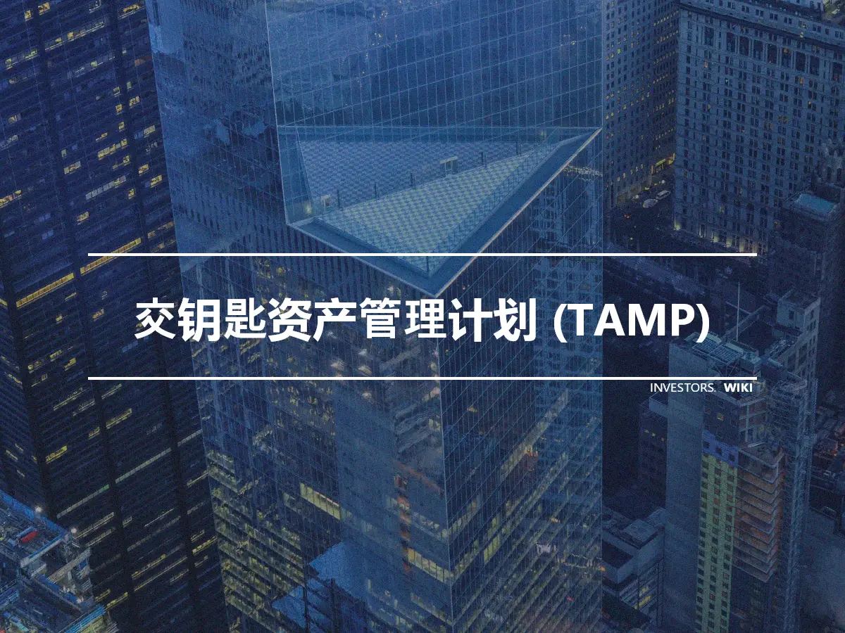 交钥匙资产管理计划 (TAMP)
