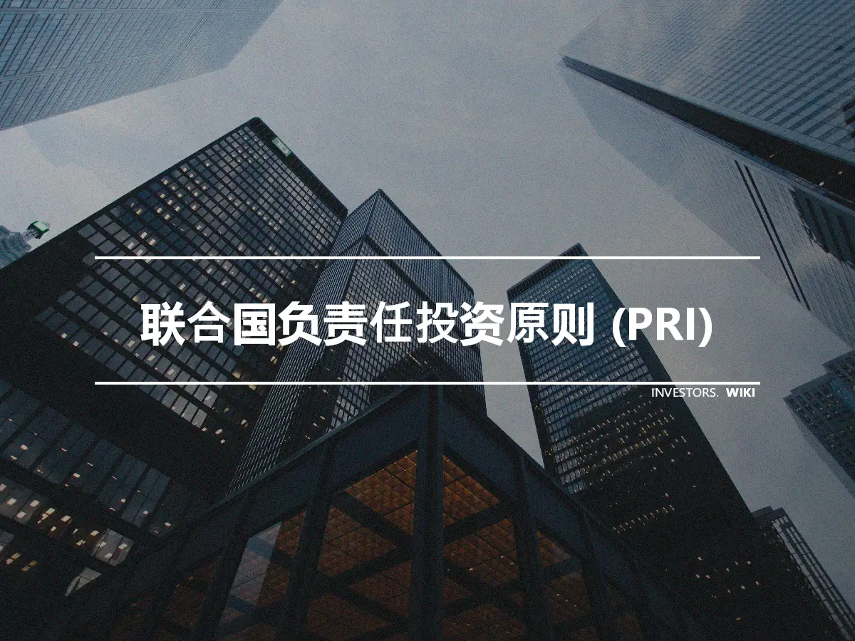 联合国负责任投资原则 (PRI)