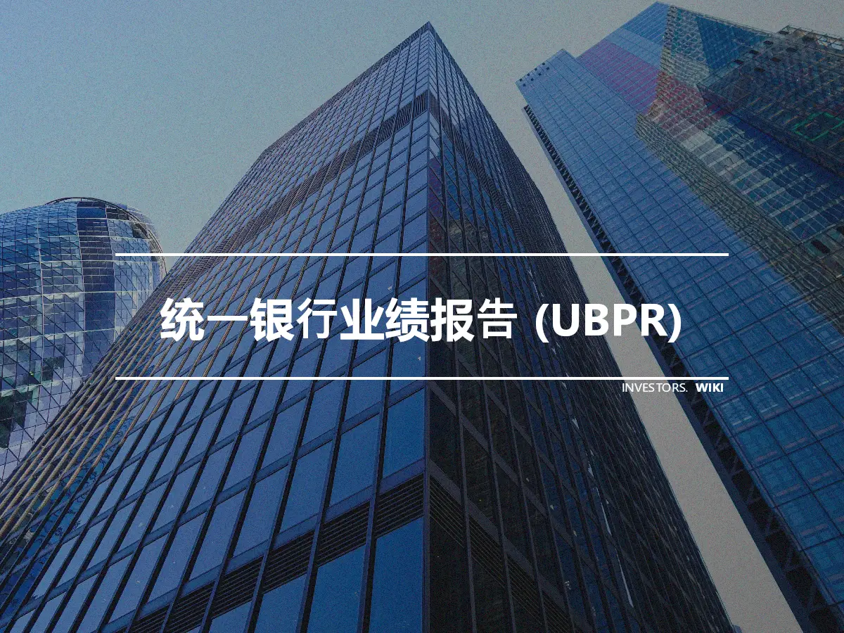 统一银行业绩报告 (UBPR)