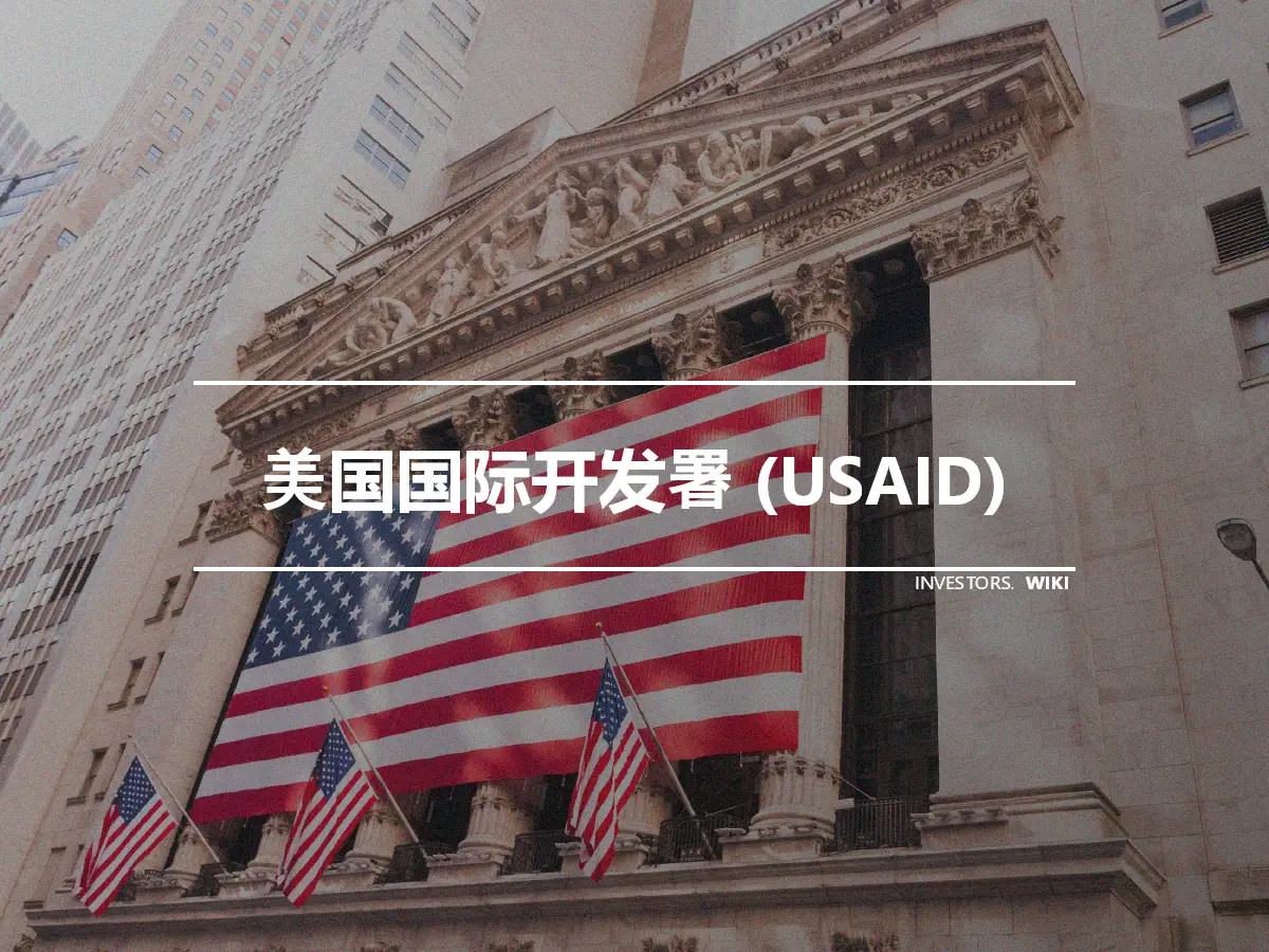 美国国际开发署 (USAID)