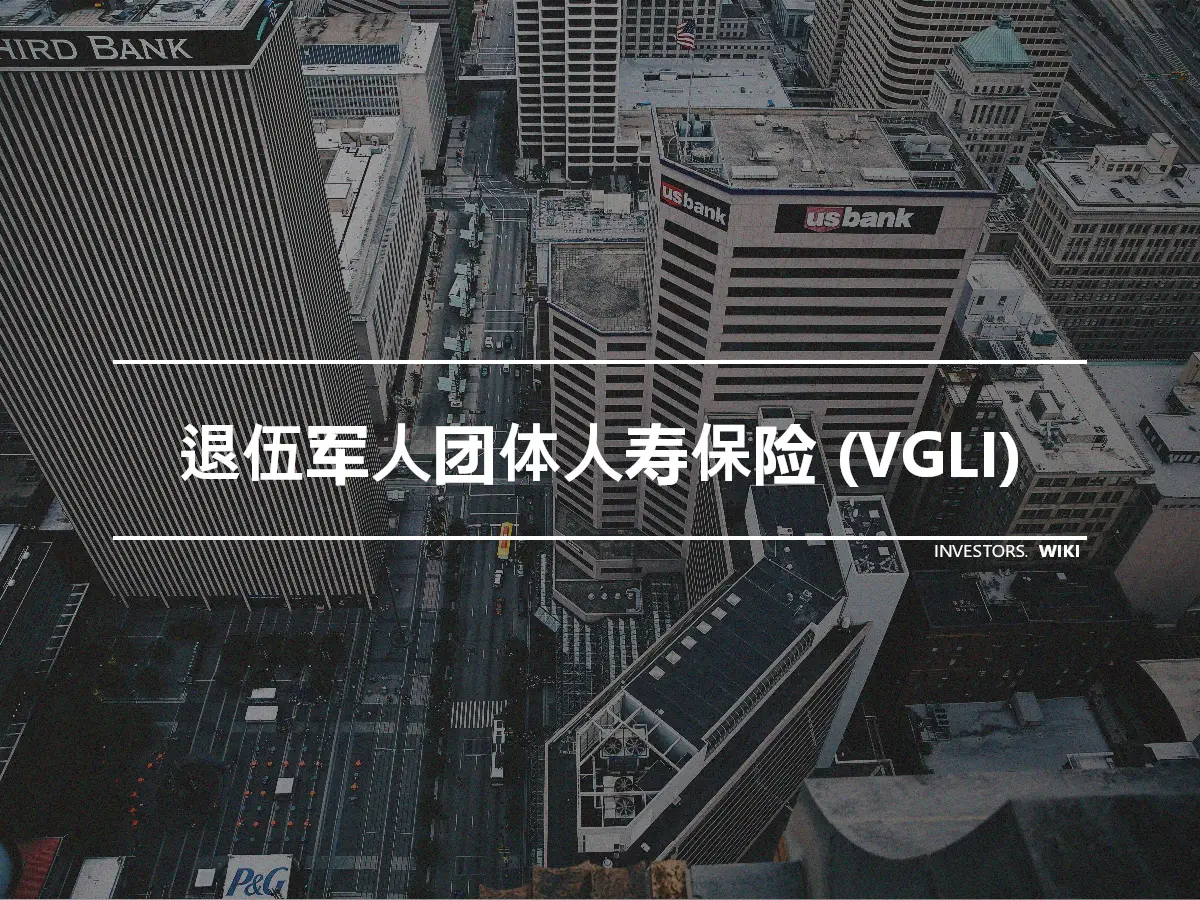 退伍军人团体人寿保险 (VGLI)