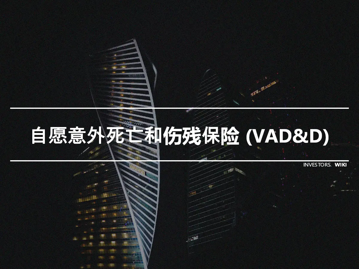 自愿意外死亡和伤残保险 (VAD&D)