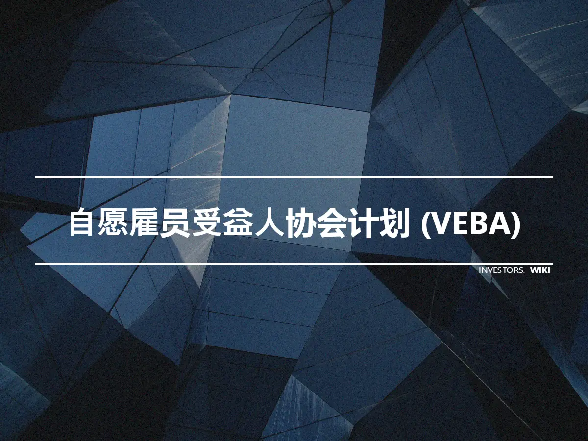 自愿雇员受益人协会计划 (VEBA)