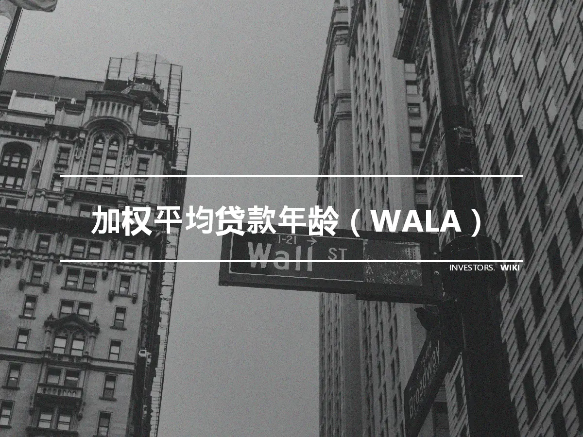 加权平均贷款年龄（WALA）