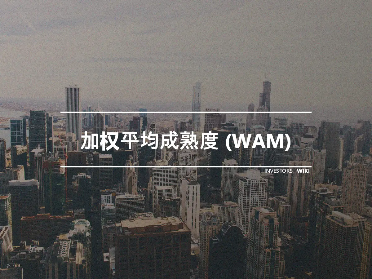 加权平均成熟度 (WAM)