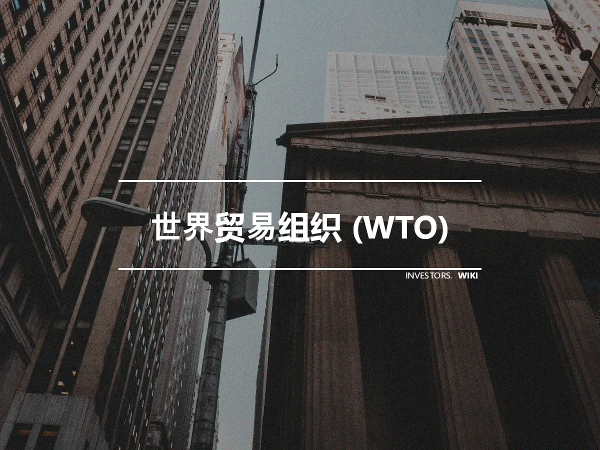 世界贸易组织 (WTO)