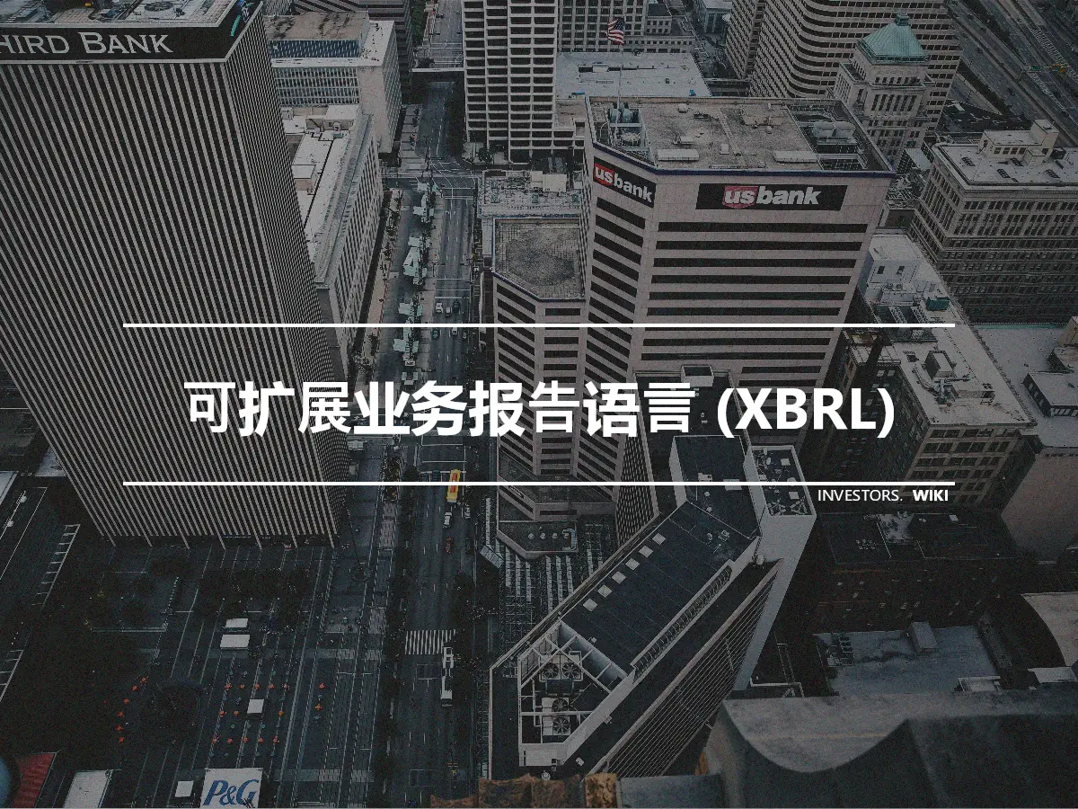 可扩展业务报告语言 (XBRL)
